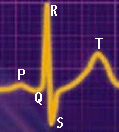 QRS_blu1.gif (13509 byte)