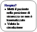 Rettangolo arrotondato: Respira?
  Metti il paziente nella posizione di sicurezza se non  traumatizzato
  Valuta la circolazione
